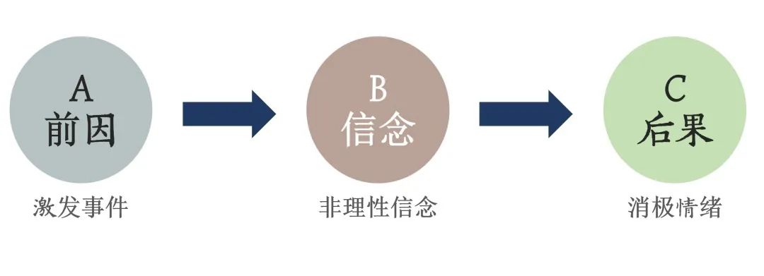 图2.jpg 图片
